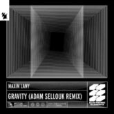 Maxim Lany - Gravity (Adam Sellouk Extended Remix)
