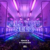 Serzo & D-Charged - All You Need