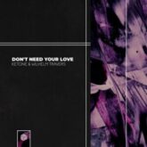 Ketone & Wilhelm Travers - Don't Need Your Love