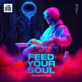 Toneshifterz - Feed Your Soul (Extended Mix)