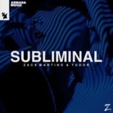 Zack Martino & Tudor - Subliminal (Extended Mix)