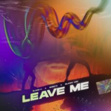 Blaze U, Spiryti & Slappy Cat - Leave Me (Extended Mix)