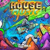 Stevie Krash - House Music