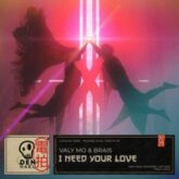 Valy Mo & Brais - I Need Your Love