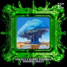 Vini Vici & Reinier Zonneveld - Distorted Reality (Original Mix)