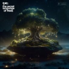 BT - The Secret Language of Trees