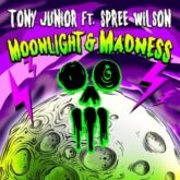 Tony Junior feat. Spree Wilson - Moonlight & Madness (Extended Mix)