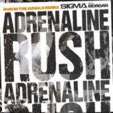 Sigma & MORGAN - Adrenaline Rush (Run In The Jungle Remix)