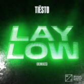 Tiësto - Lay Low (Extended Remixes)
