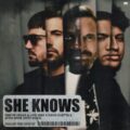 Dimitri Vegas & Like Mike x David Guetta x Afro Bros - She Knows (with Akon) (Extended Mix)