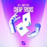 Vigel & Jimmy Roqsta - Cheap Tricks (Extended Mix)