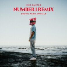 Digital Farm Animals & Nico Santos - Number 1 (Remix)
