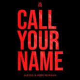 Alesso & John Newman - Call Your Name (Extended Mix)