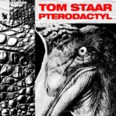 Tom Staar - Pterodactyl (Extended Mix)
