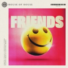 Dimitri Vegas x Steve Aoki x Chapter & Verse - Friends (Marcus Santoro Extended Remix)