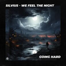 Silvius - We Feel The Night (Extended Mix)
