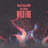 Chester Young & Absa feat. Jetason - Wild Fire