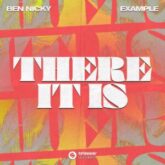 Ben Nicky x Example - There It Is (Extended Mix)