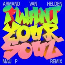 Armand Van Helden - I Want Your Soul (Mau P Extended Remix)