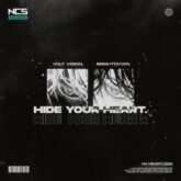 VOLT VISION, BRIGHTDVWN - Hide Your Heart