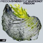 What So Not & Synergy - Freedom