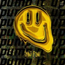 Saint Punk - Pump It Up (Extended Mix)