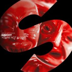 Ginchy - You're Not Alone (Extended Mix)