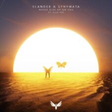 SLANDER & Synymata - Never Give Up On You (feat. Elle Vee)