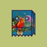 Mr FijiWiji - Teenage Birdsong