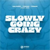 Galwaro x Tomhio x TWINNS - Slowly Going Crazy (feat. EKE)