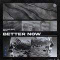 Nathan Rux & feva. - Better Now (Extended Mix)