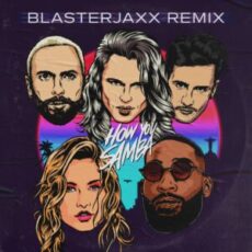 Kris Kross Amsterdam x Sofìa Reyes x Tinie Tempah - How You Samba (Blasterjaxx Extended Remix)