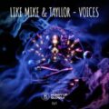 Like Mike & Tayllor - Voices (Original Mix)