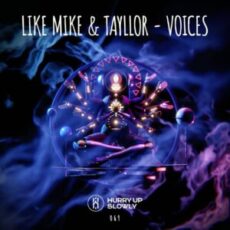 Like Mike & Tayllor - Voices (Original Mix)