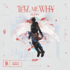 Slippy - Tell Me Why