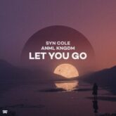 Syn Cole & ANML KNGDM - Let You Go (Extended Mix)