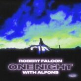 Robert Falcon - One Night (with Alfons)