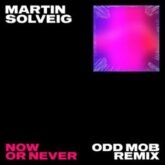 Martin Solveig & Dragonette & Faouzia - Now Or Never (Odd Mob Remix)