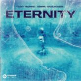 Timmy Trumpet, KSHMR & Bassjackers - Eternity (Extended Mix)