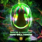 b1rdie & MANTZA - How Will I Know (Extended Mix)