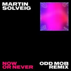 Martin Solveig & Faouzia - Now Or Never (Odd Mob Remix)