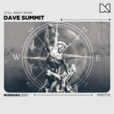 Dave Summit - Still Want More (Extended Mix)