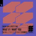 Maxim Lany & Pretty Pink - What If I Want You