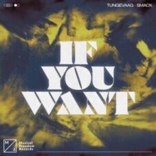 Tungevaag x SMACK - If You Want (Extended Mix)