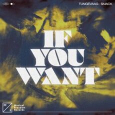 Tungevaag x SMACK - If You Want (Extended Mix)