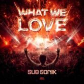 Sub Sonik - What We Love
