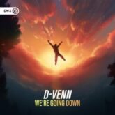 D-VENN - We're Going Down