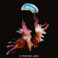Sub Focus & Hayla - I Found You (Prospa Remix)