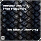 Antoine Delvig & Fred Pellichero - The Snake (Extended Rework)