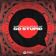 Quintino & Plastik Funk - Go Stupid (Extended Mix)